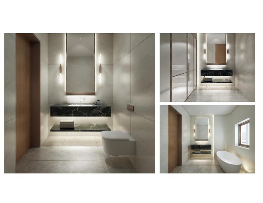 Guest bathrooms — dark marble palette